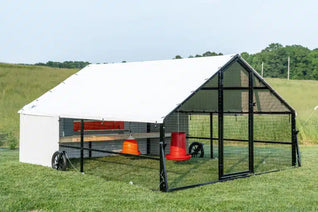 10 X 12 Heritage Porta Coop