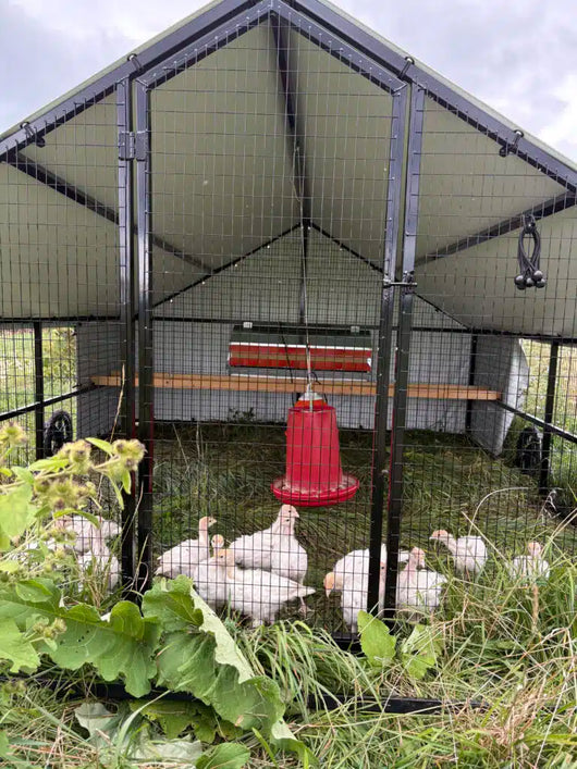 10 X 12 Heritage Porta Coop