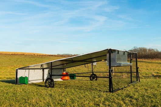 10 X 12 Haven Porta Coop