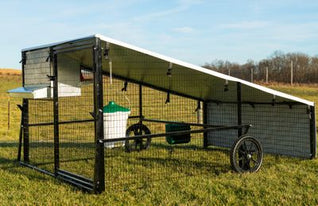 6 X 8 Haven Porta Coop