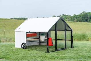 6 X 8 Heritage Porta Coop