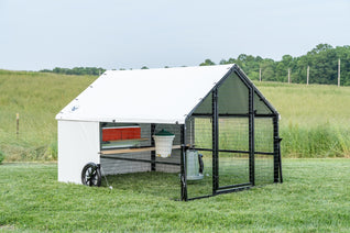 6 X 8 Heritage Porta Coop