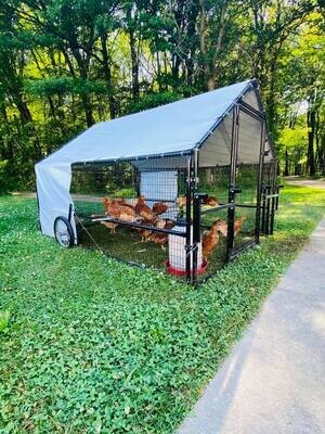 6 X 8 Heritage Porta Coop