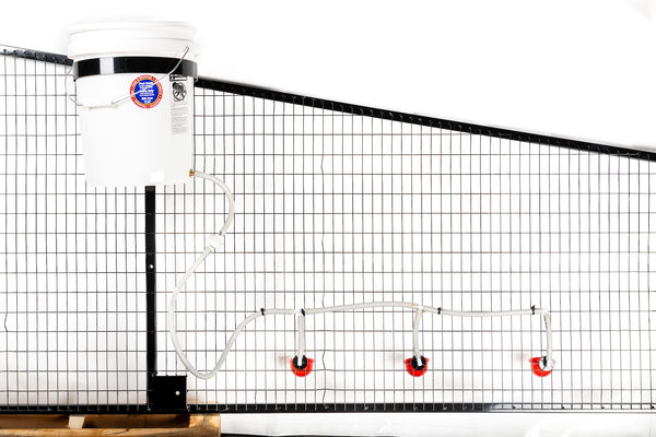 5 Gallon 3 Cup water system