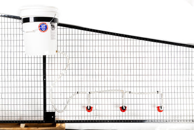 5 Gallon 3 Cup water system