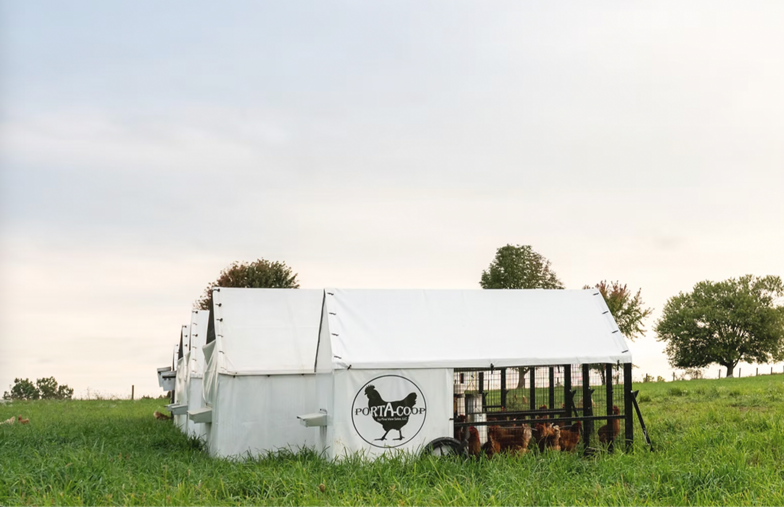 Your Daily Ritual, Backed by