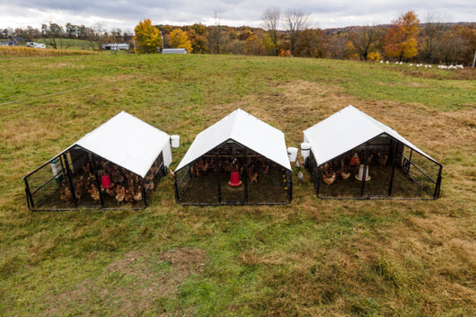 10 X 12 Heritage Porta Coop