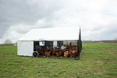 10 X 12 Heritage Porta Coop