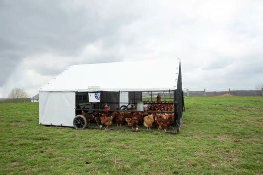 10 X 12 Heritage Porta Coop