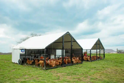 10 X 12 Heritage Porta Coop