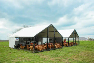 10 X 12 Heritage Porta Coop