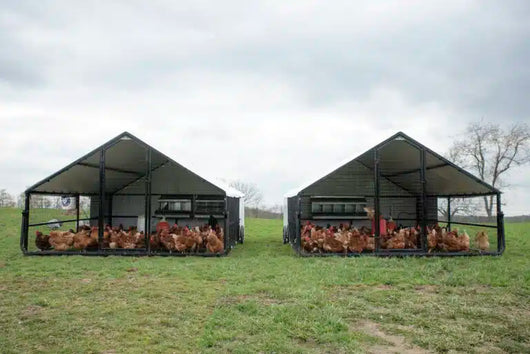 10 X 12 Heritage Porta Coop